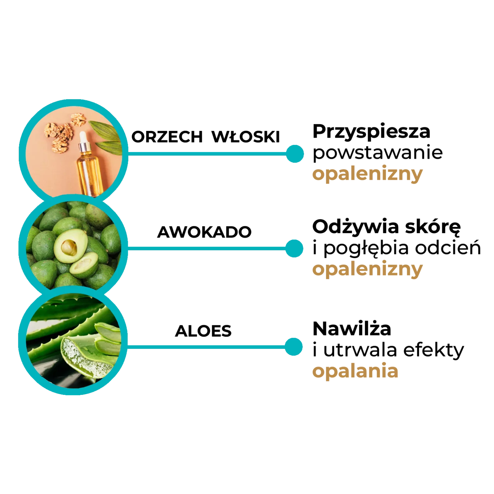 Infografika składników Onyx Dark Tanning Accelerator: orzech włoski, awokado i aloes – przyspieszają powstawanie opalenizny, odżywiają skórę i utrwalają efekt